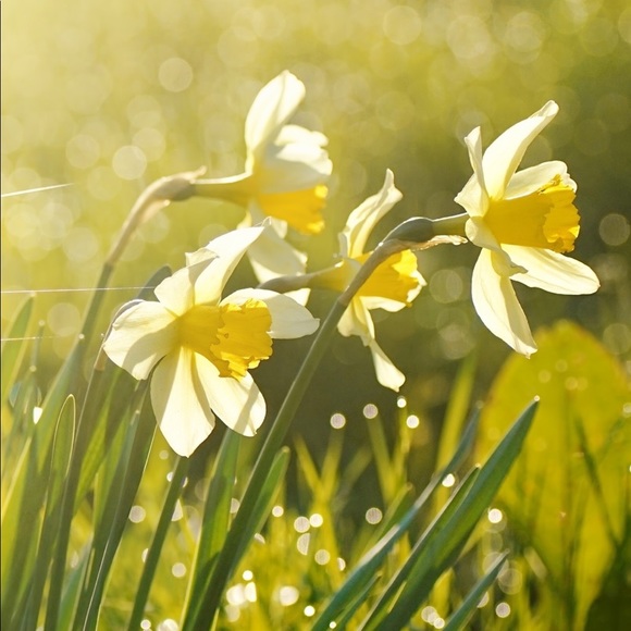 Meet your Posher, Carina - Picture 8 of 12